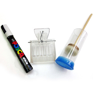 Actiasbee Queen Bee Marking Kit