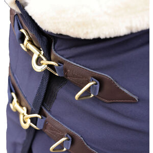  shot 15593259