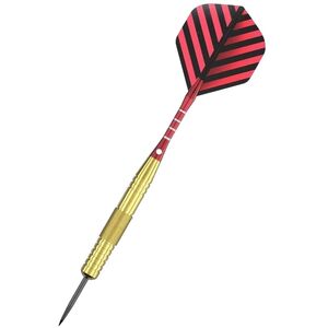 Target Darts Set