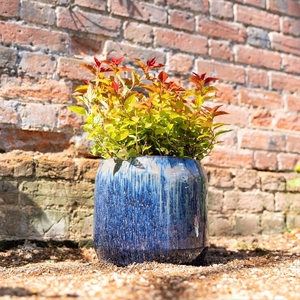Fibrecotta Round High Gloss Garden Planter In Blue Mix 27cm