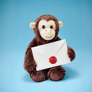 Monkey Plush Softie Toy