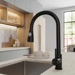 Pull Out Kitchen Mixer Tap with Dual Spray-2TAPKBLKPOSS