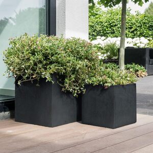 shot 19572764