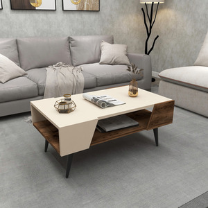 Aren Coffee Table with Storage Unit