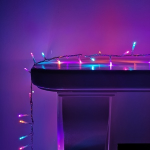  shot 2529212