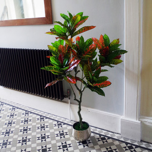 Artificial Codiaeum Multicoloured Tree