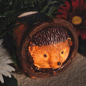 Solar Powered Garden Hedgehog Light