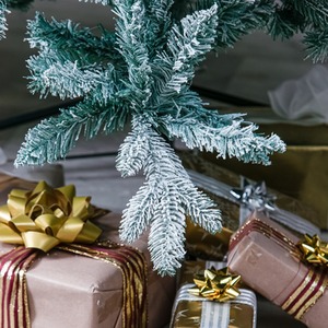  shot 6155348