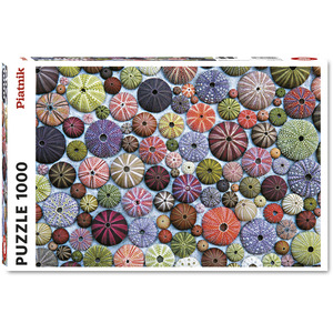 Sea urchins 1000 Piece Jigsaw Puzzle