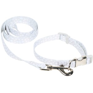 Puppy Collar and Lead Set