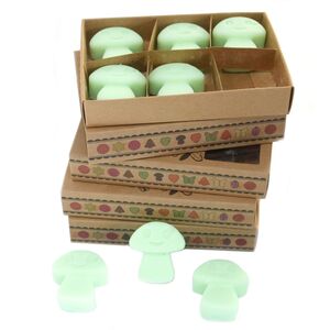 Box of 6 Natural Liquorice Wax Melts