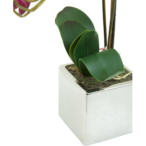 Fiori Purple Orchid in Silver Pot