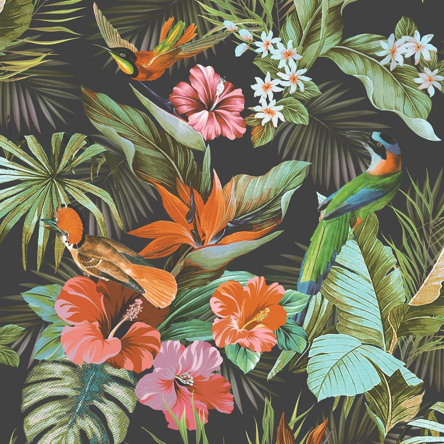 Rasch Paradise Birds Heavyweight Vinyl Textured Wallpaper - Black/Multicoloured