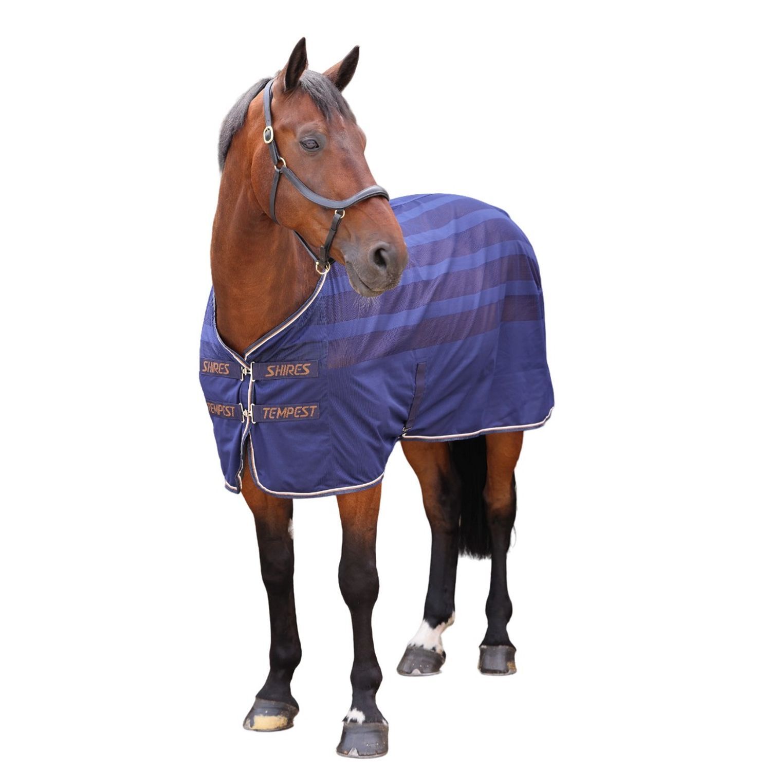Tempest Original Scrim Horse Cooler Rug - Ink / Fabric
