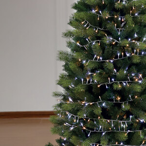 1000 LED Compact Lights