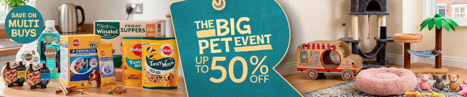 pet event pets