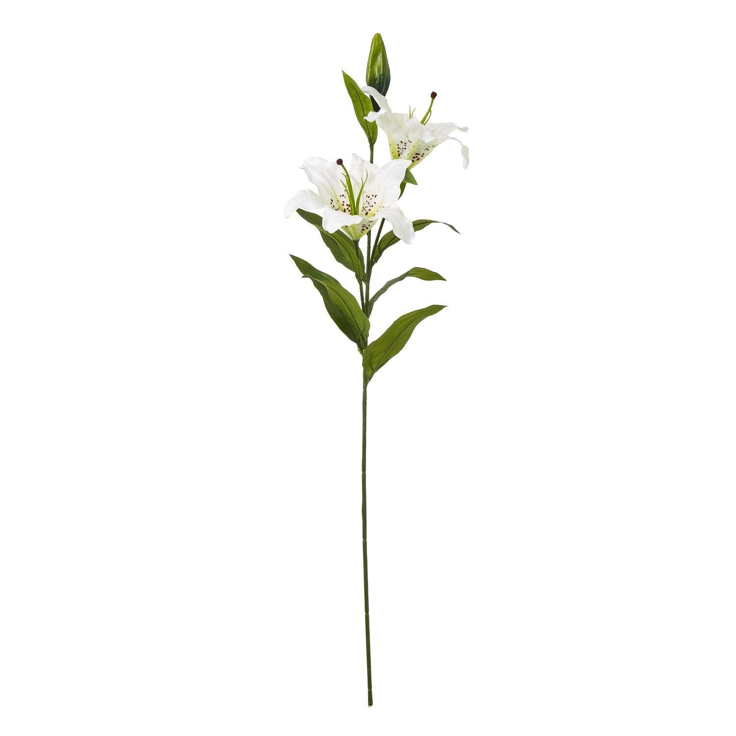 - White Madonna Lily Spray - Image 2
