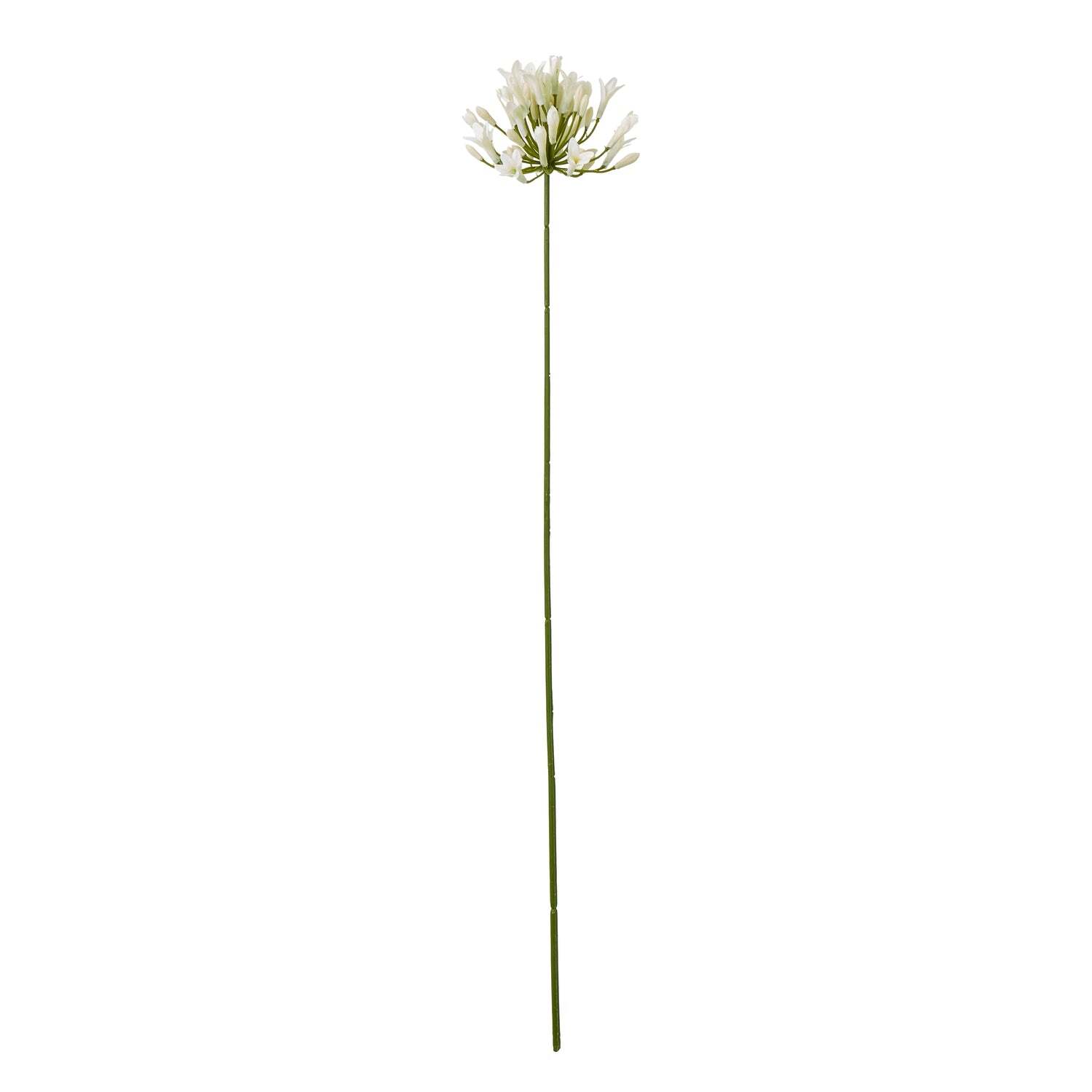 Lemon Pavilion Furniture And Decor Unisex Cream Agapanthus Spray (Single Stem Flower) - L15 X W15 X H75 Cm - Image 2