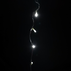  shot 2406142