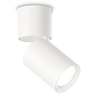 Toby Adjustable Surface Mounted Downlight White