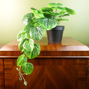 Leaf Artificial Trailing Natural Look Potted Pothos Plant Realistic