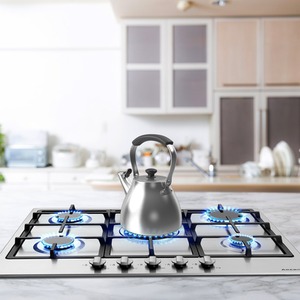 Gas Hob Stainless Steel Gas Stove Including Grates