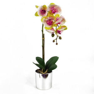 Artificial Orchid Harlequin Pink with Silver Pot