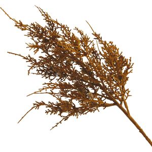 Artificial Single Pinecone Spray Stem L50cm