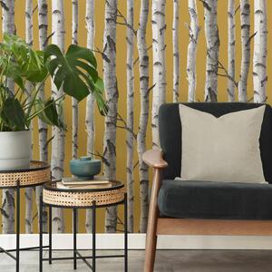 Birch Trees Wallpaper