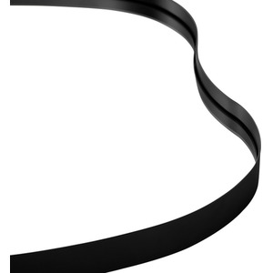 Black Petal-Shaped Iron Frame Explosion-Proof Wall Mirror shot 7395178