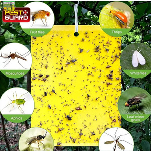 8pc Yellow Sticky Fly Trap