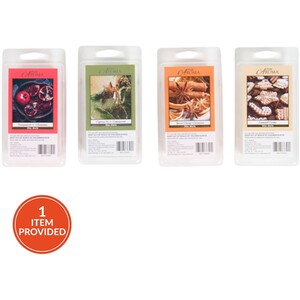 Xmas Wax Melts