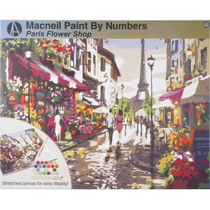 Paint By Numbers Macneil Paris Flower Shop Kit