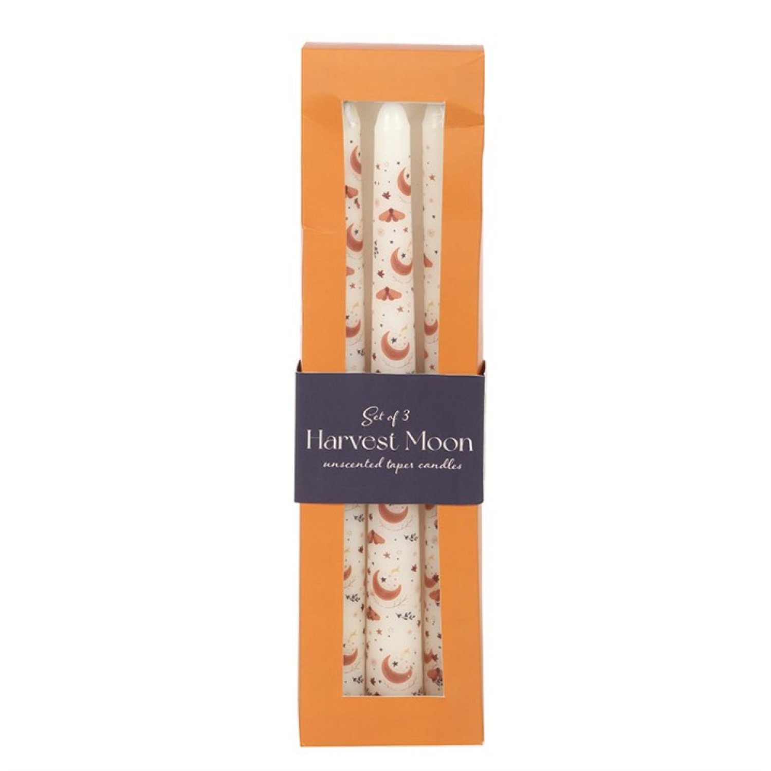 Set of 3 Harvest Moon Taper Candles Elegant Autumn Home Decor - White