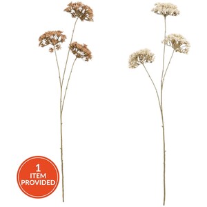 Queen Annes Lace Decorative Stem
