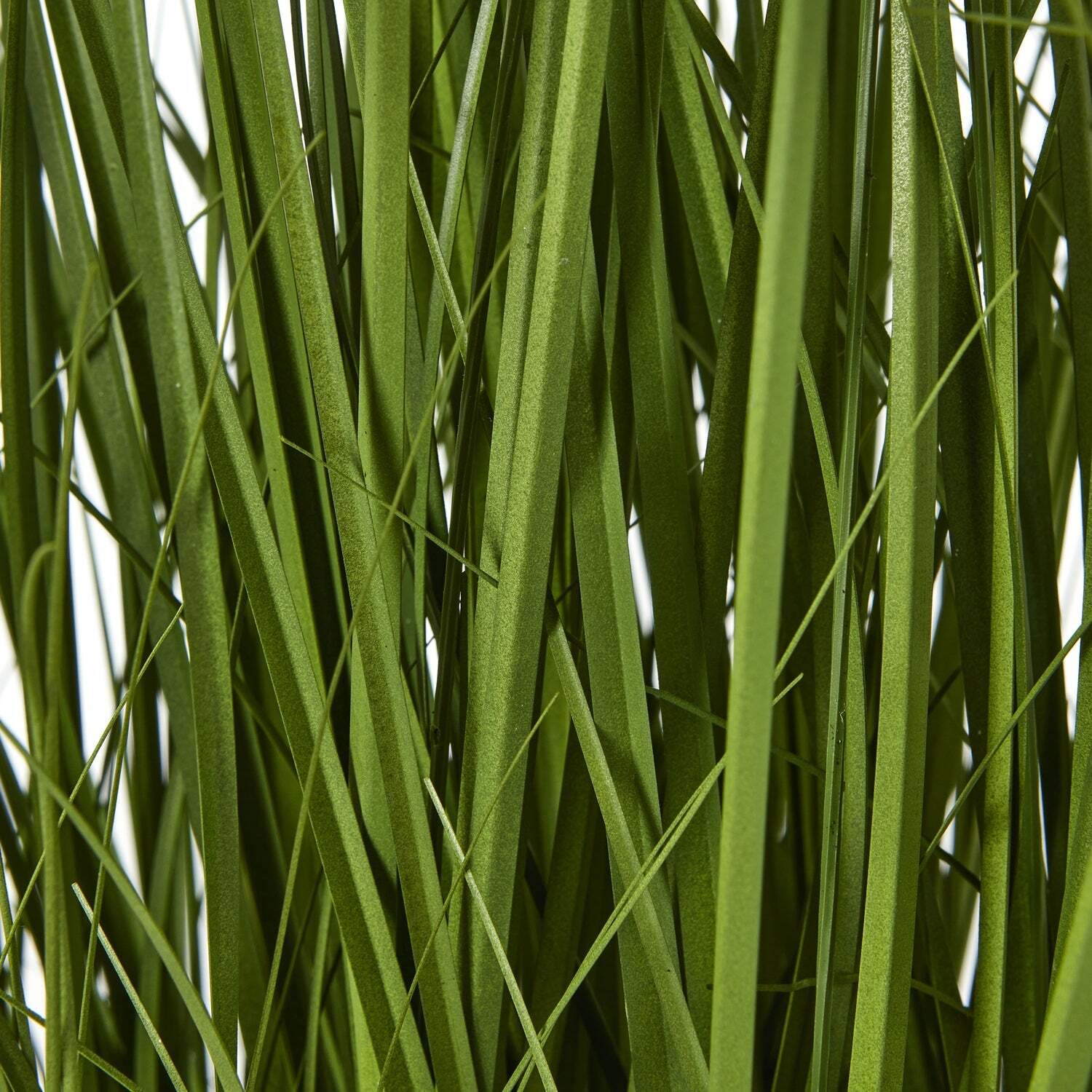 Wyld Haus 120cm Artificial White Allium (pot not included) - White