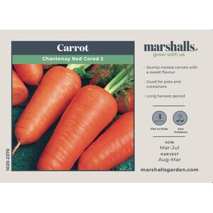 Marshalls Garden Carrot Seeds - Chantenay Red Cored 2 Early Maincrop, 3000 Seeds