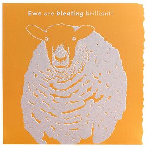 Deckled Edge Colour Block Animal Greetings Card