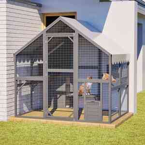  shot 17505079