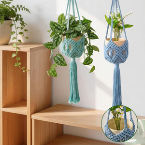 Plant Hanger