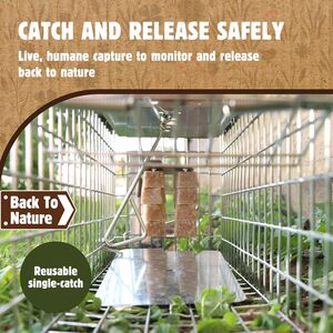 The Big Cheese Free To Go Ready-Baited Rat Trap