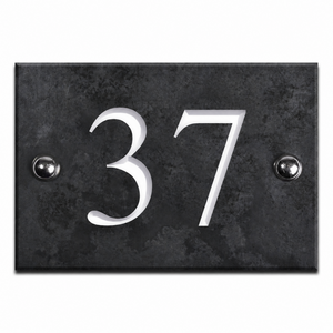  shot 21235039