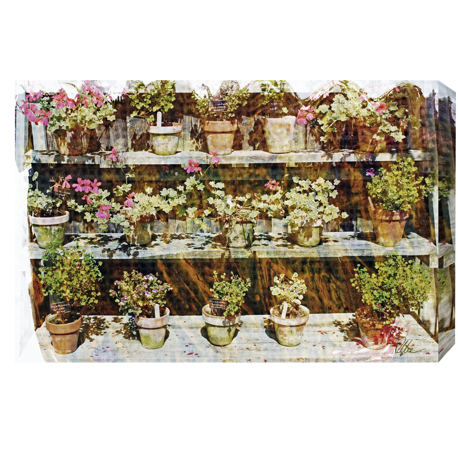 Flower Plant Pots Graphic Art on Canvas - Green / 92cm