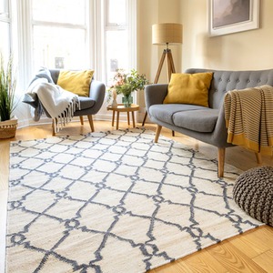 Trellis Geometric Jute Area Rug