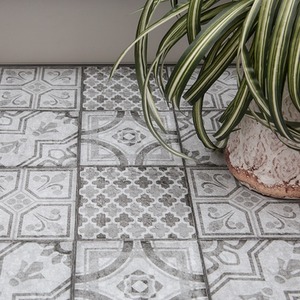  shot 2971827
