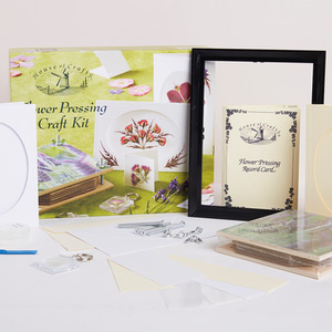  shot 3595386