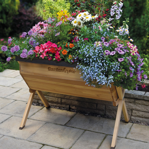 Raised Large Wooden Planter