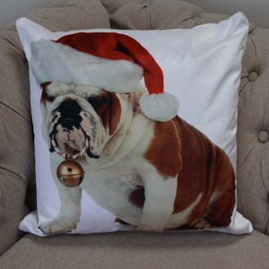 Bulldog Bouble Cushion Cover (43x43) Multicolor