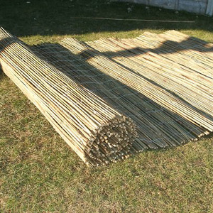 Bamboo Cane Natural Screening Roll