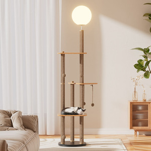  shot 8173612